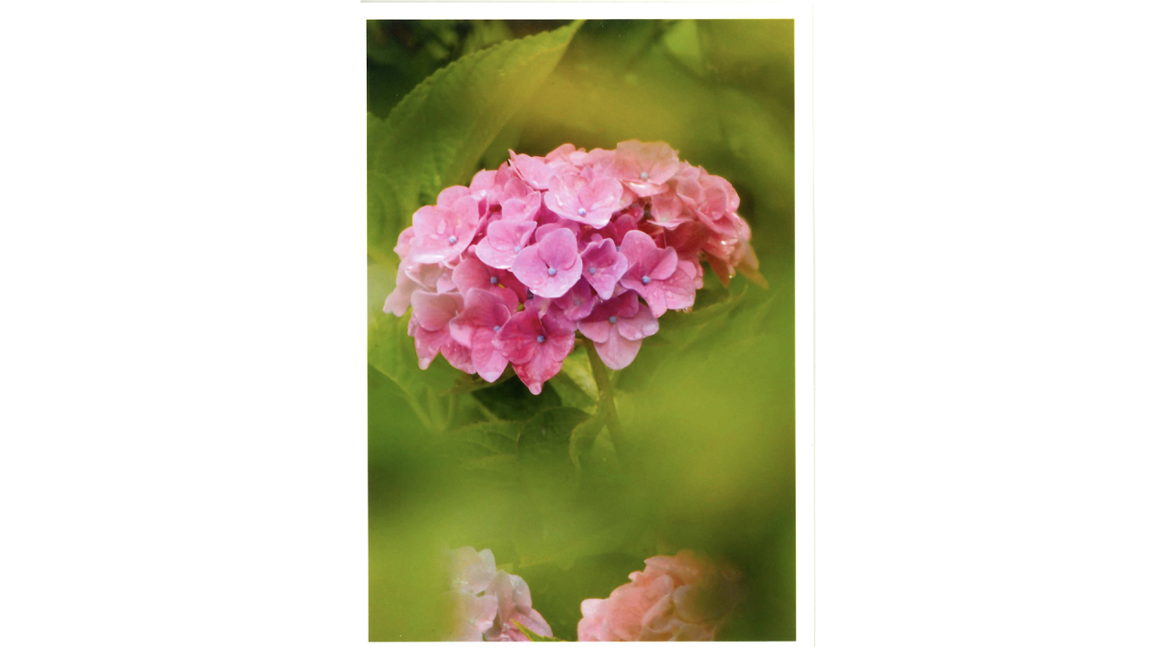 04堀 美善（75）２