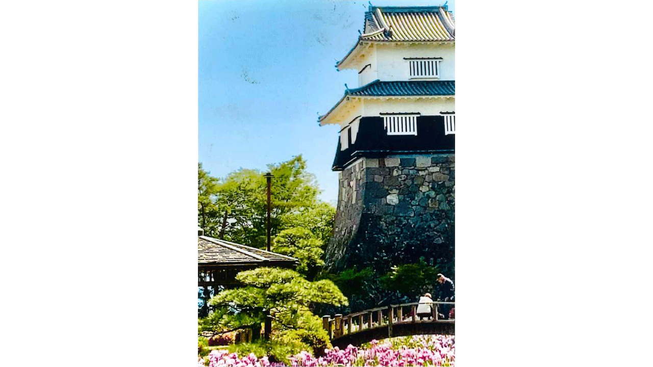 宮本忠_長崎…大村市のお城全影